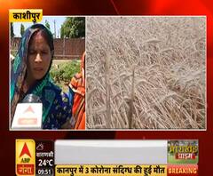 काशीपुरः किसानों पर आफत के ओले, अनाज, सब्जी, फूल की फसलों को नुकसान | ABP Ganga