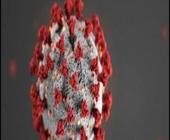 ফটাফট: রেকর্ড গড়ে রাজ্যে একদিনে করোনা আক্রান্ত ৩৪৪, বেলেঘাটা আইডি আবাসনে সংক্রমণ