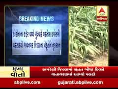 કમોસમી વરસાદથી ભાવનગર જિલ્લાના ખેડૂતોને નુકસાન, જુઓ વીડિયો