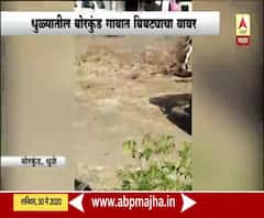 धुळ्यातील बोरकुंड गावात आणि रत्नगिरीतील निवळीत बिबट्याचा धुमाकूळ