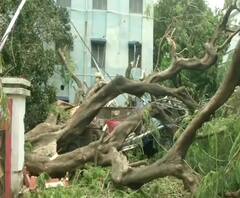 শ্বাসকষ্টে ছটফট করছে ফুসফুসের অসুখে আক্রান্ত শিশু, উমপুনের পর কী হল তার?