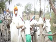 पानी का 'लॉकडाउन' कब खत्म होगा? Ghanti bajao Full