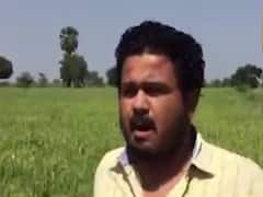 કાપણી માટે ડાંગ, મધ્યપ્રદેશ, મહારાષ્ટ્રની બોર્ડરના મજૂરોને આવવાની મંજૂરી આપવા માંગ, જુઓ વીડિયો