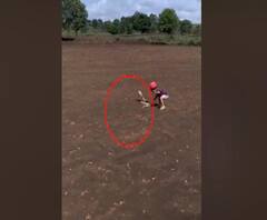 Rural News | बेळगावात वडील व्हिडीओ काढताना चिमुरड्याने सापाला धरले | माझं गाव माझा जिल्हा