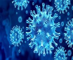 #Corona सोलापूर मनपा आयुक्तांना कोरोनाची लागण, आयुक्त पी. शिवशंकर कोरोना पॉझिटिव्ह