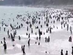 Corona काल की 2 तस्वीरें : Bihar में बिजली गिरने से 107 लोगों की मौत...Britain में गर्मी से बचने के लिए Beach पर लोगों का जमावड़ा