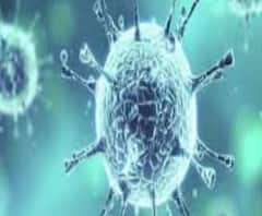 রেকর্ড! রাজ্যে একদিনে করোনা সংক্রমিত ৪২৭