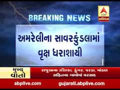 ભારે પવન સાથે વરસાદ વરસતા અમરેલીના સાવરકુંડલામાં વૃક્ષ ધરાશાયી, જુઓ વીડિયો