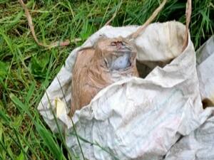 Jammu Kashmir: बारामूला में आतंकी हमले की साजिश को सेना ने किया नाकाम