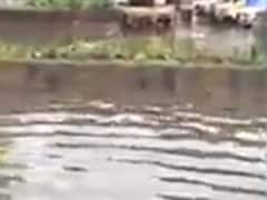 મહારાષ્ટ્રમાં આગાહી 48 કલાકમાં ભારે વરસાદની હવામાન વિભાગની આગાહી, જુઓ વીડિયો