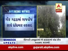 ગીર સોમનાથના કોડીનાર અને ગ્રામ્ય વિસ્તારમાં ધોધમાર વરસાદ, જુઓ વીડિયો 