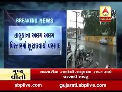 નવસારીના ગણદેવી તાલુકાના ગડત ગામે વરસાદી ઝાપટું, જુઓ વીડિયો 