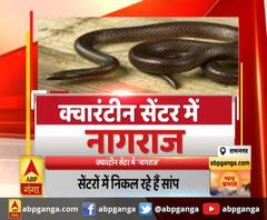 क्वारंटीन सेंटर में 'नागराज'
