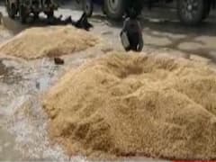 How long will we let harvest rot in govt owned godowns?