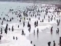 As summer intensifies, locals violate social distancing in UK