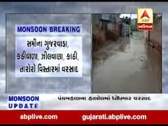 પાટણના સમી અને હારીજમાં વરસ્યો વરસાદ, જુઓ વીડિયો 