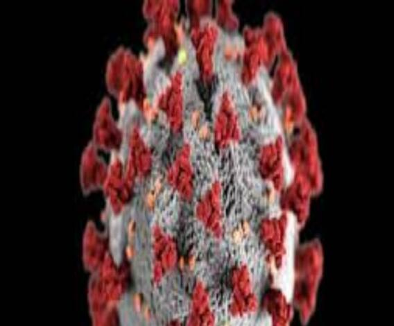 করোনা: বিশ্বে আক্রান্তের সংখ্যা পেরোল ৮৯ লক্ষ, মৃত সাড়ে চার লক্ষেরও বেশি