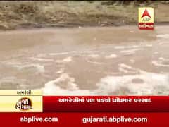 અમરેલી જિલ્લામાં મોડી રાત્રે ધોધમાર વરસાદથી નદીઓમાં પૂર, જુઓ વીડિયો 