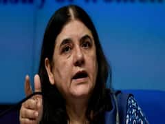 Exclusive: 'सांसद, राज्य सरकार, केंद्र सरकार इस मामले पर कुछ तो करे'- हथिनी की मौत पर Maneka Gandhi