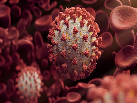 WHO warns of Coronavirus still being a threat