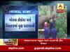 વડોદરા: ભારે પવનના કારણે ગોરવામાં વૃક્ષ ધરાશાયી થતાં ત્રણ વાહનો દબાયા, જુઓ વીડિયો 