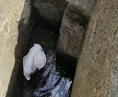 Yavatmal Farmer | शेतकरी दाम्पत्याने मजुरी करता करता विहीर खणली! विहीर खोदताच 30 फुटांवर पाणी