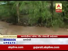 અમરેલીના ખાંભા ગીર પંથકમાં ધોધમાર વરસાદ, જુઓ વીડિયો