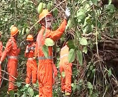 Nisarg cyclone effect in Raigad | निसर्ग चक्रीवादळाचा रायगड जिल्ह्याला फटका; अनेक ठिकाणी रस्तेही बंद