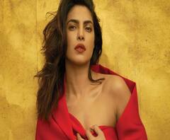 চলচ্চিত্র উত্‍সবের ‘ভার্চুয়াল রেড কার্পেট’, অংশ নেবেন প্রিয়ঙ্কা 