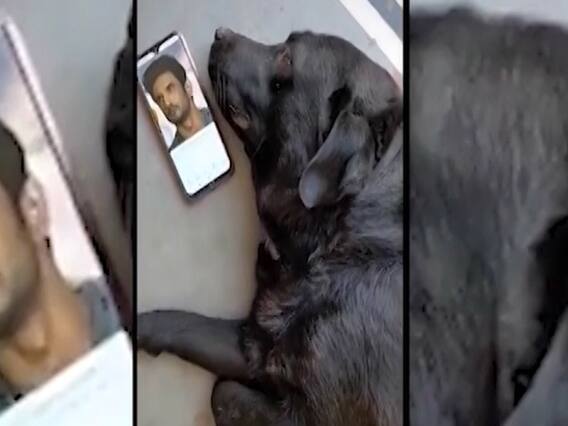 Watch full Saas Bahu Aur Saazish of June 19th, 2020