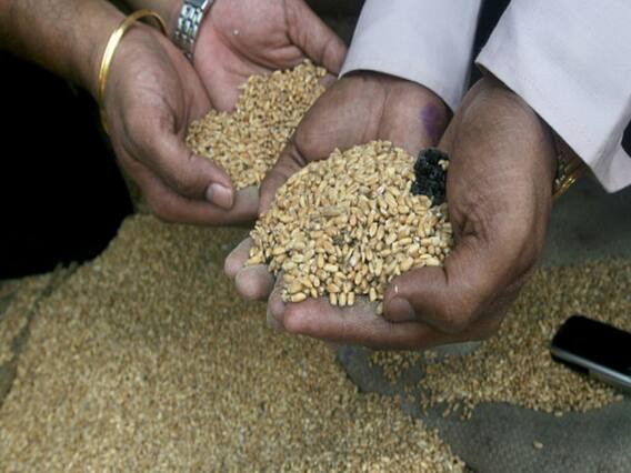 Punjab Seed Scam में हुई एक और गिरफ्तारी