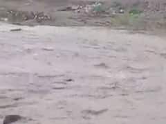 બોટાદના ગઢડા, બરવાળા, રાણપુરમાં ધોધમાર વરસાદ, ઠેર ઠેર ભરાયા પાણી 