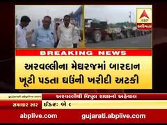 અરવલ્લીના મેઘરજમાં બારદાન ખૂટી પડતા ઘઉંની ખરીદી અટકી, ખેડૂતોને હાલાકી, જુઓ વીડિયો 