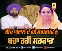 Seed Scam ਨੂੰ ਲੈ ਕੇ Harsimrat Badal ਨੇ ਕੈਪਟਨ ਸਰਕਾਰ 'ਤੇ ਲਾਏ ਕਿਹੜੇ ਗੰਭੀਰ ਇਲਜ਼ਾਮ?