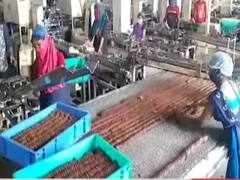 UP: अपने ही जिले में मिला रोजगार, खिल उठे श्रमिकों के चेहरे