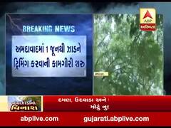 અમદાવાદમાં 1 જૂનથી ઝાડને ટ્રિમિંગ કરવાની કામગીરી શરૂ, જુઓ વીડિયો