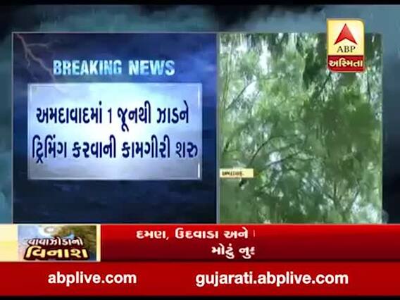 અમદાવાદમાં 1 જૂનથી ઝાડને ટ્રિમિંગ કરવાની કામગીરી શરૂ, જુઓ વીડિયો