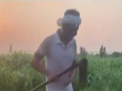 Nawazuddin Siddiqui works in a field, shares video on Instagram