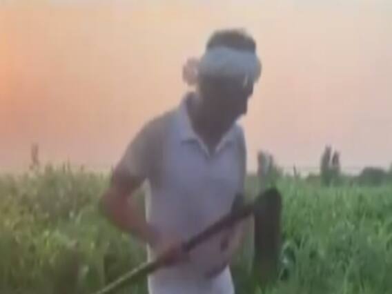 Nawazuddin Siddiqui works in a field, shares video on Instagram