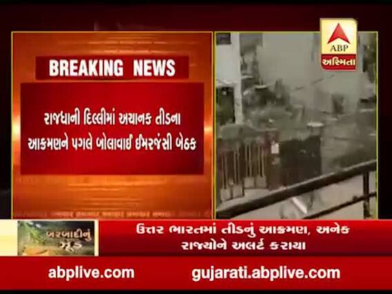 ઉત્તર ભારતમાં ત્રાટક્યા તીડ, દિલ્હીમાં બોલાવાઈ ઈમરજન્સી બેઠક,જુઓ વીડિયો 