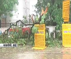 Cyclone Nisarga | चक्रीवादळामुळे विधानभवन परिसरातील झाडं रस्त्यावर कोसळली, वाहनांचं मोठं नुकसान