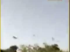 કચ્છના રાપર તાલુકામાં તીડના ઝૂંડ જોવા મળ્યા, ખેડૂતો ચિંતામાં મુકાયા, જુઓ વીડિયો 