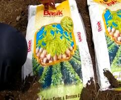 Rural News | माझं गाव माझा जिल्हा | राज्याच्या कानाकोपऱ्यातील बातम्यांचा आढावा