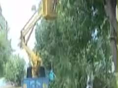 અમદાવાદના સાત ઝોનમાં 1100થી વધુ વૃક્ષો ભયજનક, જુઓ વીડિયો