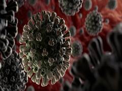 COVID 19: ब्राजील में लगातार दूसरे दिन 1 हजार से ज्यादा मौत, मरीजों की संख्या 7 लाख 75 हजार के पार