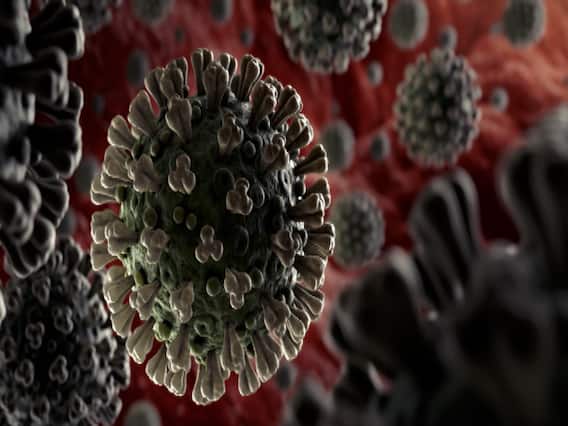 COVID 19: ब्राजील में लगातार दूसरे दिन 1 हजार से ज्यादा मौत, मरीजों की संख्या 7 लाख 75 हजार के पार