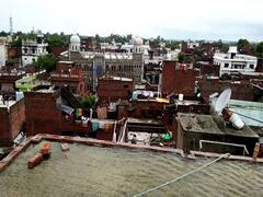 फटाफट देखिए दुनियाभर की वायरल खबरें