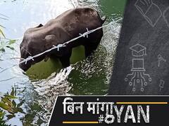 Kerala Elephant Tragedy: भारत में कितने हाथी कहाँ और क्यों मरते हैं!