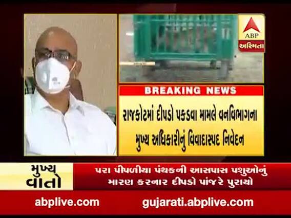 રાજકોટઃ સિંહ વધતા દીપડા જંગલમાંથી બહાર નીકળી રહ્યા છેઃ મુખ્ય વન અધિકારી એ.એમ પરમાર