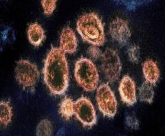 করোনা আক্রান্তের সংখ্যার নিরিখে ইতালিকে টপকে তালিকার ৬ নম্বরে ভারত